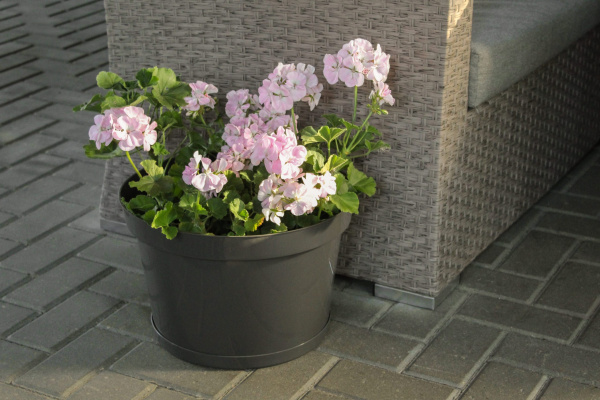 Горшок для цветов "Фикус 20" 20л, графит [00252]