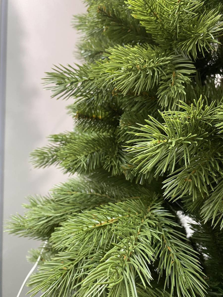 Сосна "Тундра"