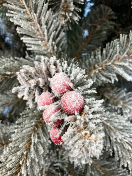 Елка "Ариозо", эффект инея