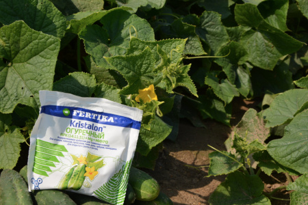 Удобрение фертика КРИСТАЛОН - для огурцов, 100гр