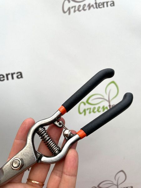 Секатор садовый прямой Bradas 8" [KT-RG1007]