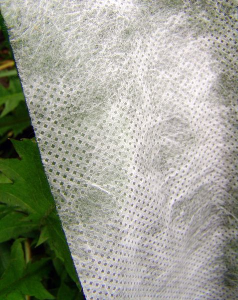 Спанбонд (агроспанбонд) 30г/м2; 1.6х50м