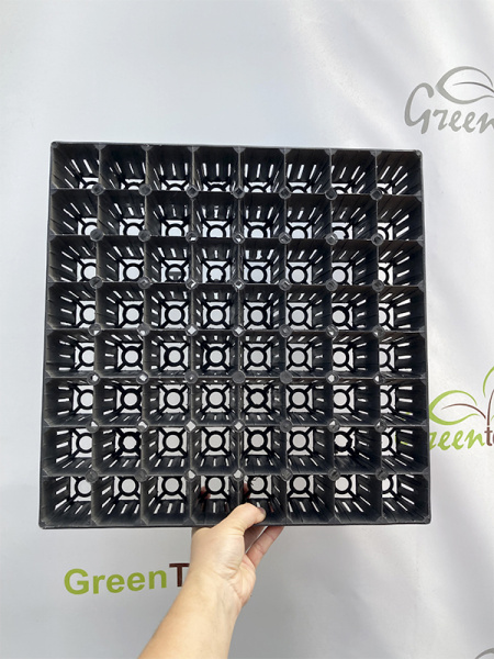 Кассета для лесовосстановления, 64 ячейки (115мл) K-64F