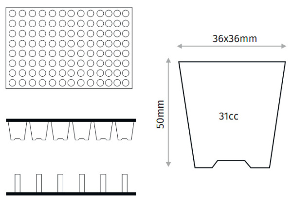 Кассета для рассады, 104 ячейки (31мл)