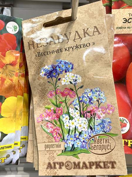 незабудка Весеннее кружево