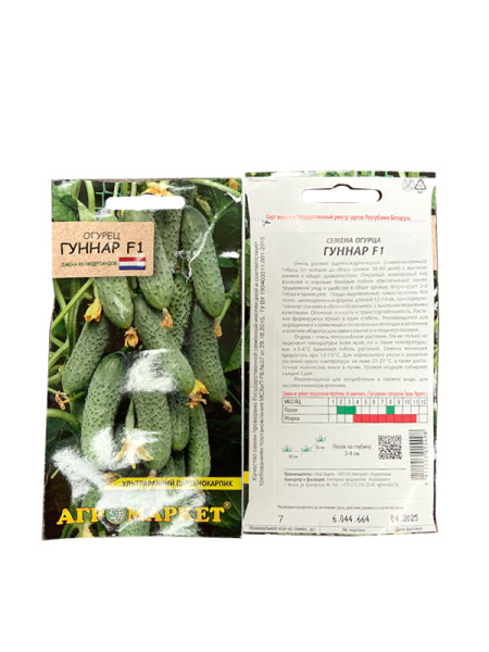 огурец партенокарпический Гуннар F1