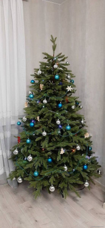 Елка "Аляска" светлая