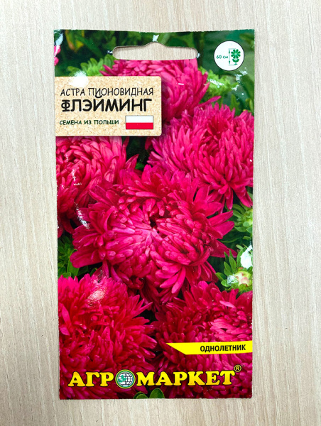 астра пионовидная Флэйминг