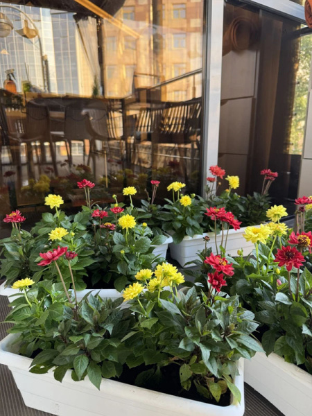 Ящик балконный для цветов рельефный, (белый) №3