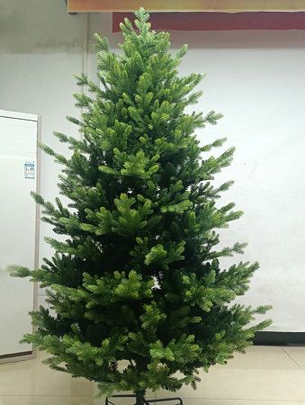 Елка "Ванкувер"