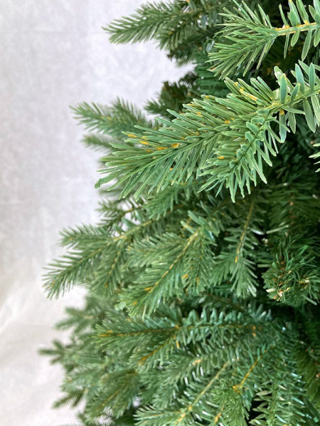 Елка "Монсанта"