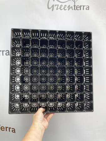 Кассета для лесовосстановления, 81 ячейка (85мл) K-81F