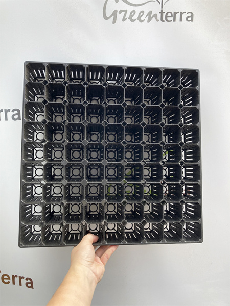 Кассета для лесовосстановления, 81 ячейка (85мл) K-81F