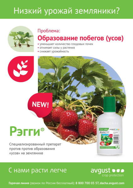 Регулятор роста растений от перерастания "Рэгги" 1мл