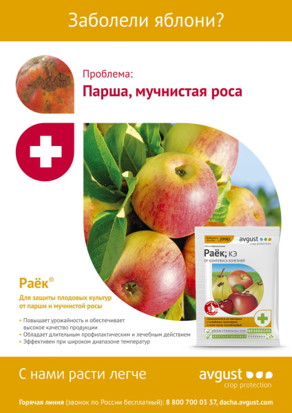 Раёк 2мл, для обработки плодовых культур от болезней