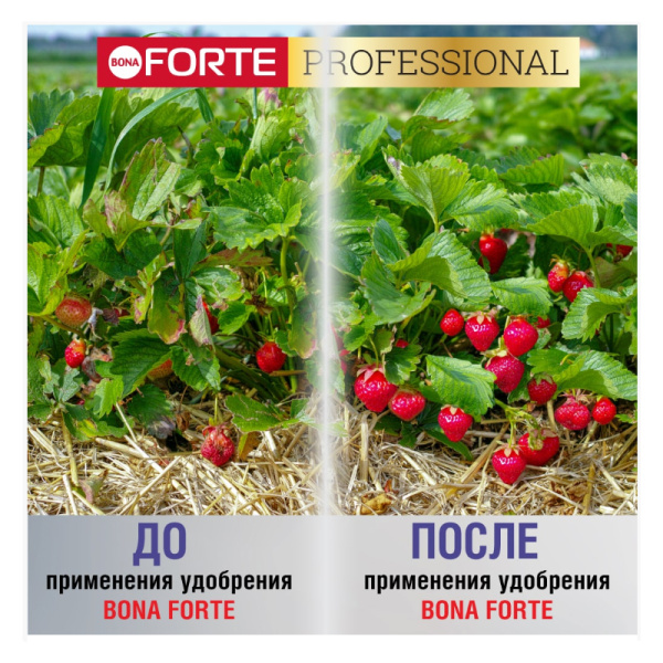 Удобрение пролонгированное Bona Forte "Для клубники и ягод", 1 л