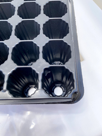 Кассета для рассады, 104 ячейки (31мл)