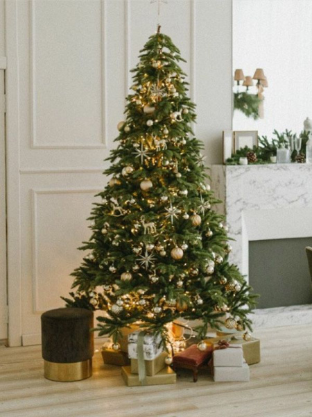 Ель "Тайга" светлая