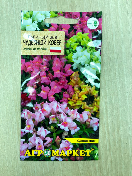 львиный зев Чудесный ковер