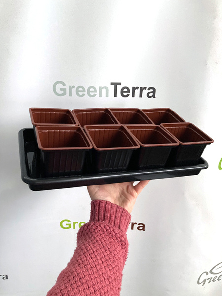 Набор для рассады: поддон + 8 горшков 8*8*8 [00256]