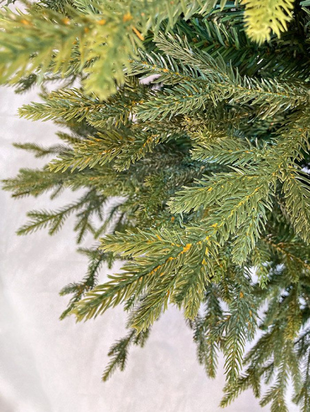 Елка "Этуаль"