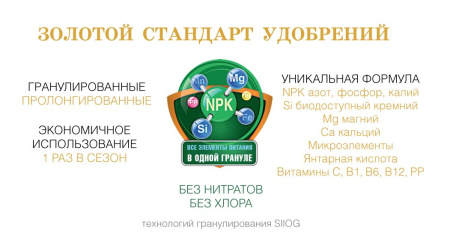 Bona Forte пролонгированное хвойное 5 кг