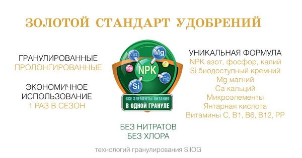 Bona Forte пролонгированное хвойное 2.5 кг