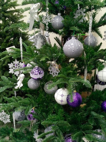 Елка "Нобилис"