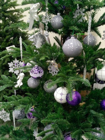 Елка "Нобилис"