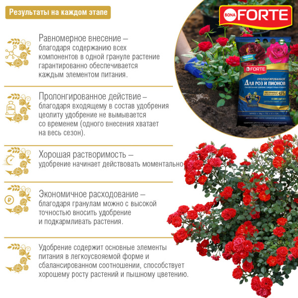 Bona Forte для голубики и лесных ягод с кремнием 2.5кг