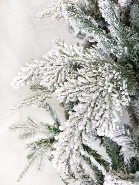 Елка "Альберта" заснеженная