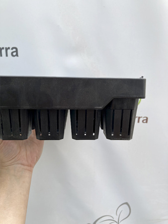 Кассета для лесовосстановления, 81 ячейка (85мл) K-81F