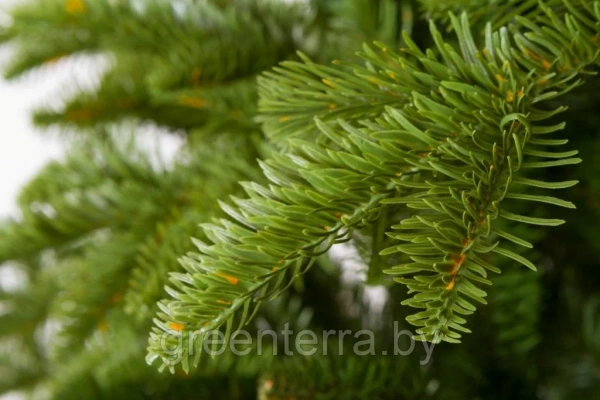 Елка "Тайга" светлая