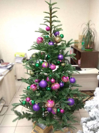 Елка "Нобилис"