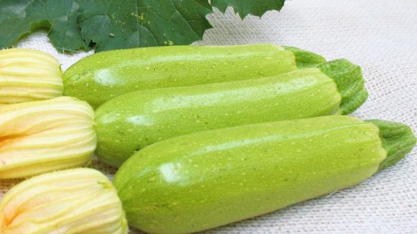 кабачок Суха F1