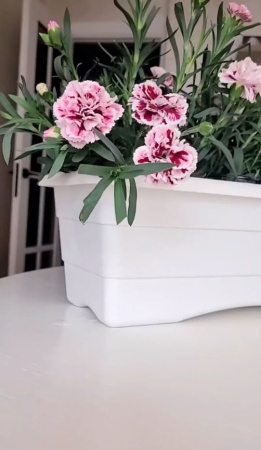 Ящик балконный для цветов рельефный, (белый) №3