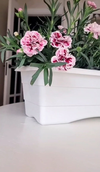 Ящик балконный для цветов рельефный, (белый) №3