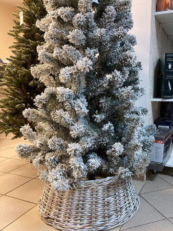 Елка "Оливия" заснеженная