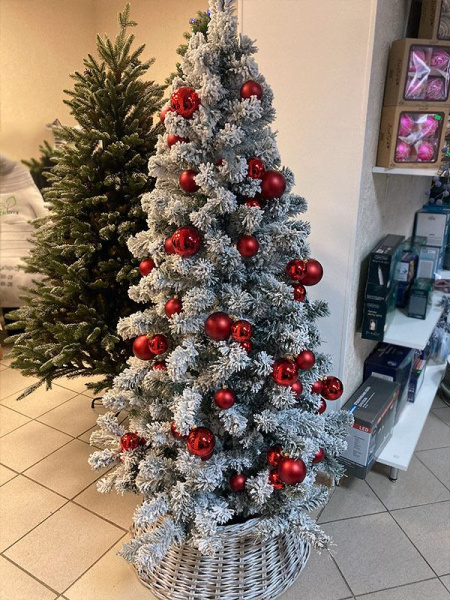 Елка "Оливия" заснеженная