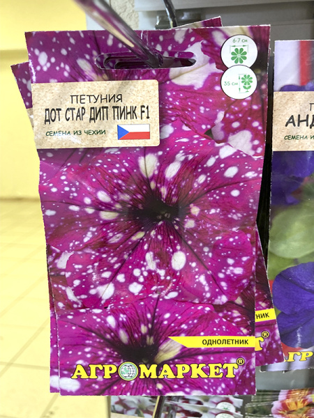 петуния Дот стар Дип Пинк F1