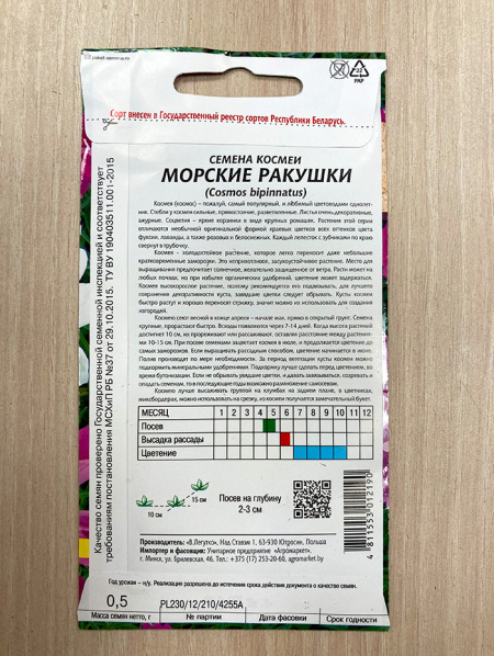 космея Морские ракушки