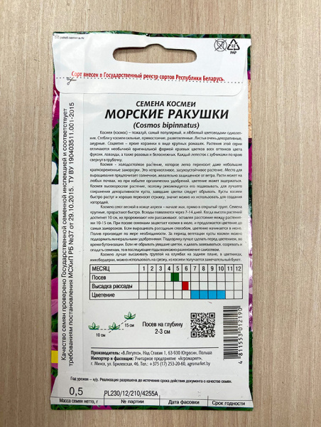 космея Морские ракушки