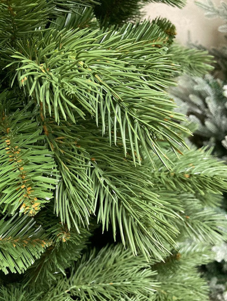 Сосна "Тундра"