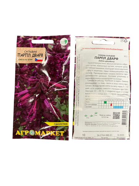 сальвия Парпл Дварф, 10 шт