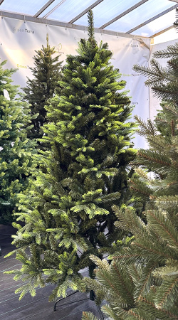 Елка "Кашемир" 