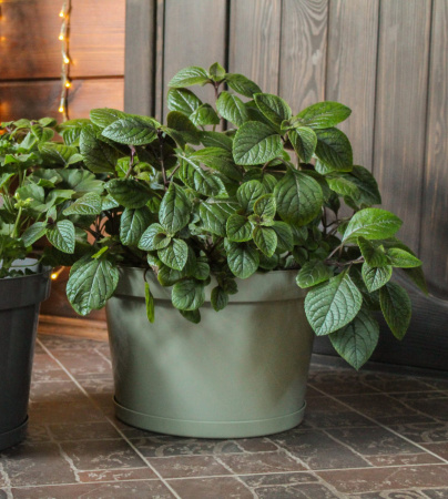 Горшок для цветов "Фикус 20" 20л, шалфей [00250]