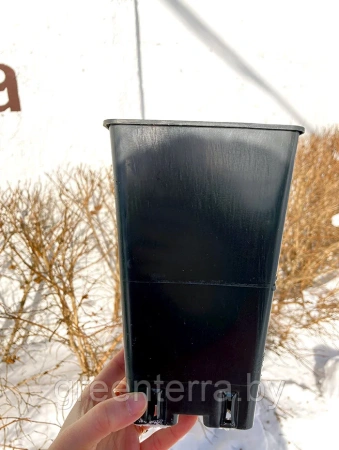 Высокий горшок для роз 2л, 12*12*20см.