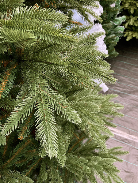 Елка "Калифорния"