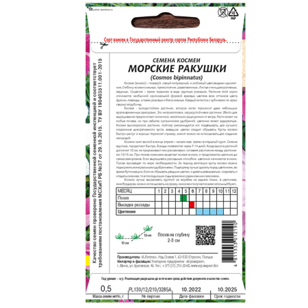 космея Морские ракушки