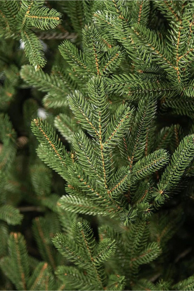 Елка "Элоди" 100% РЕ